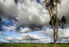 貝爾戈米談國米衛冕意甲的動力和傷病隱憂.