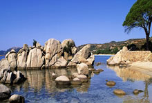 華子：才打兩場就灰心喪氣？專註比賽別分心.